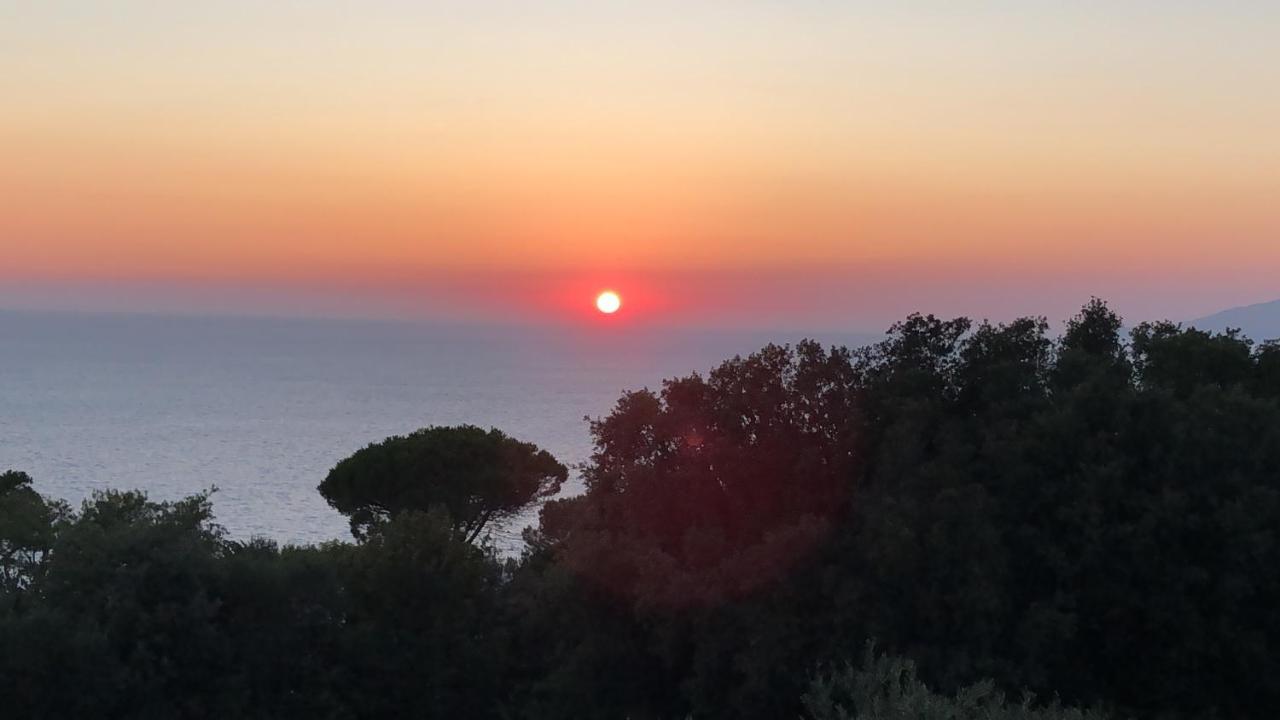 La Draghina B&B Capri อนากาปรี ภายนอก รูปภาพ